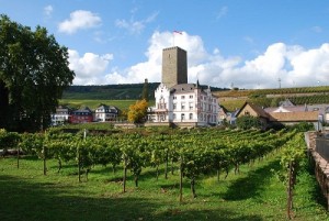 wines from bourgogne in China