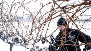 Canadian Icewine in China