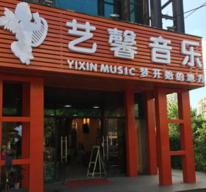 Daxue Consulting-musical instrument store in China