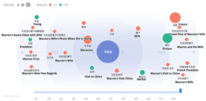 Daxue Consulting-MAcron and the Chinese- MAcron on the Chinese Internet