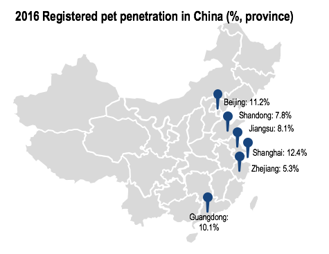 Pet penetration in China