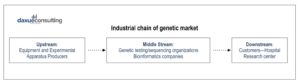 industrial chain of genetic market