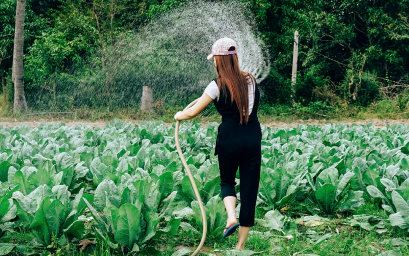 Gardening tools market in China