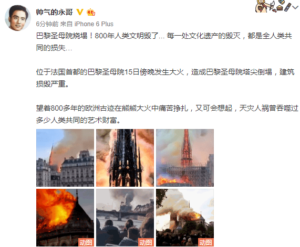 China reacts to Notre Dame de Paris fire