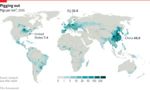 China's pork industry