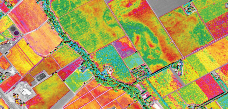 Satellite imagery for precision agricultural decision in China