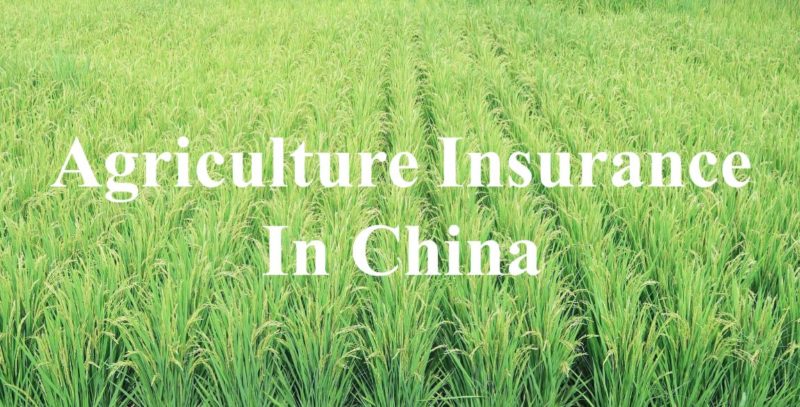 Overview of the agriculture insurance market in China