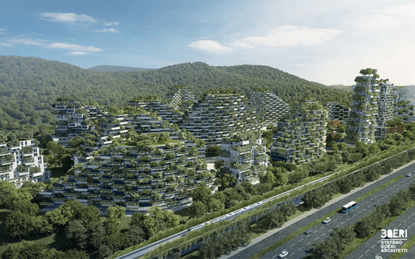 China's plan for creating a forest city
