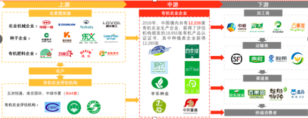 The vertical structure of the organic food industry in China and its component companies
