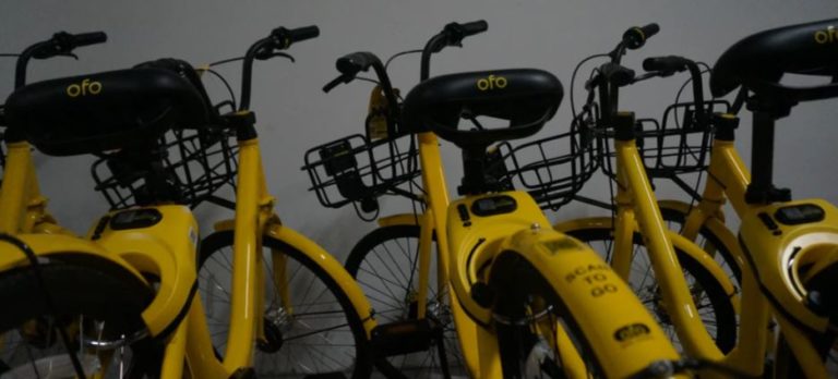 Ofo contact on sale