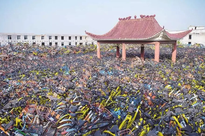 the mountain of abandoned sharing bikes