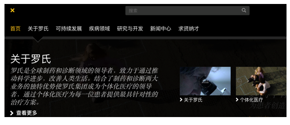 La Roche website page in Chinese