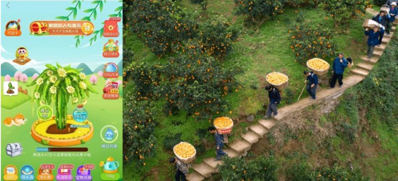  Xinhuanet, mini game “Duoduo Orchard”