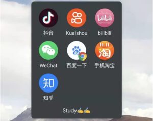 big tech in China's online education market