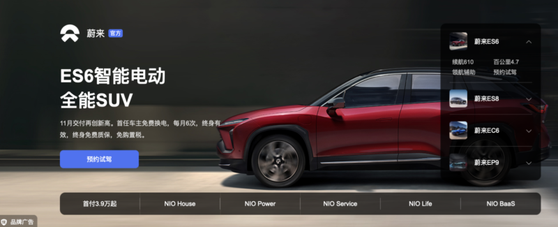 domestic brand on the electric vehicle market in China