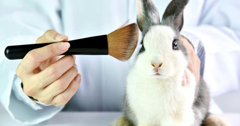 cosmetics animal testing in China