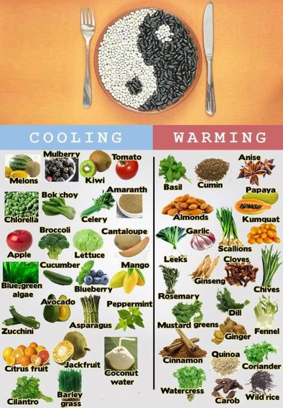healthy food which contain yin and yang, or heating and cooling qualities. 