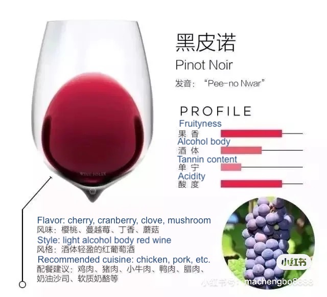 detailed graphics made by premium wine experts to help consumers visualize different grape variety China