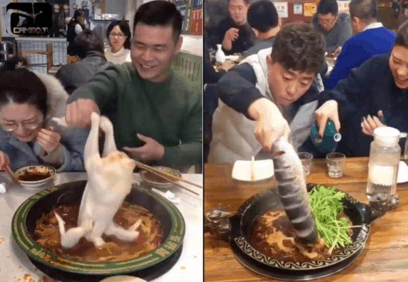 Hotpot customers bringing their own ingredients, shared on consumer generated video in China