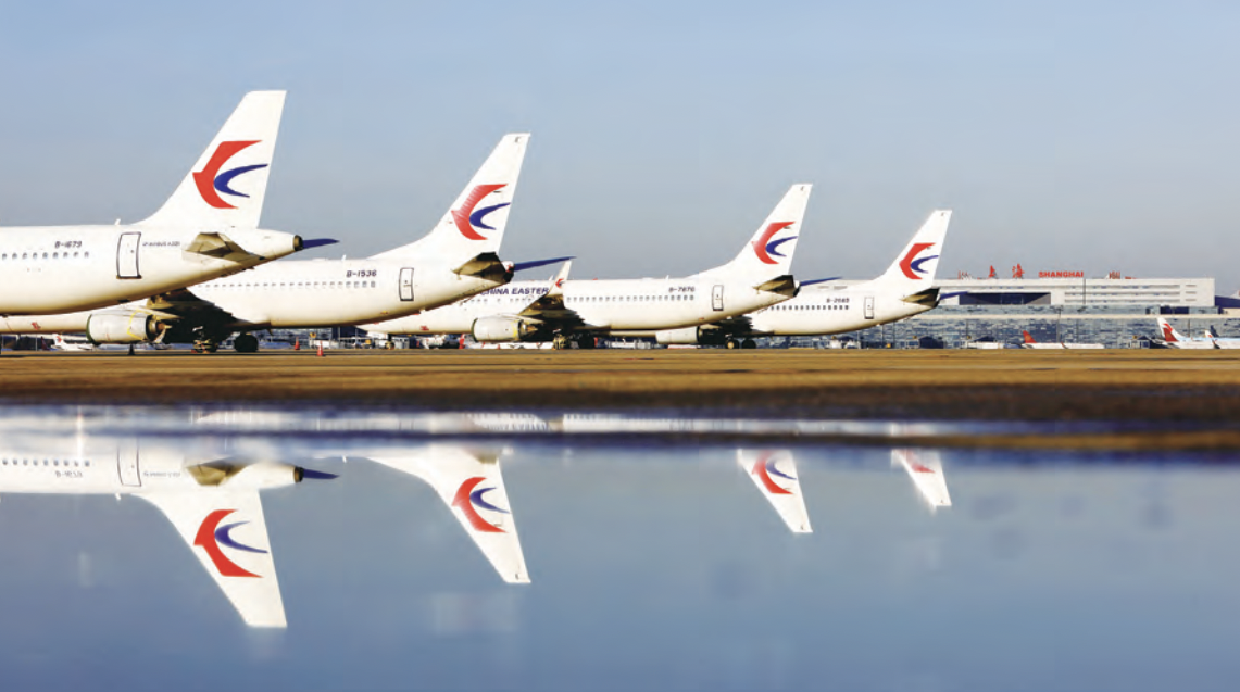 shows part of China Eastern Airlines fleet on the ground The Chinese airline industry 