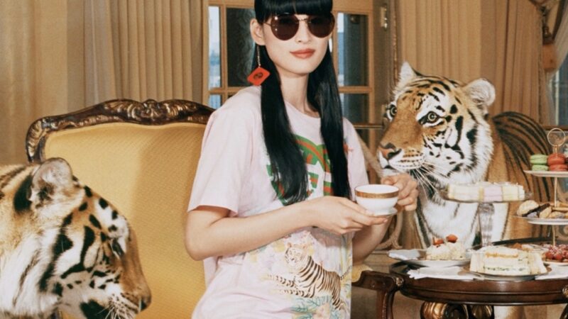 gucci in china: year of the tiger