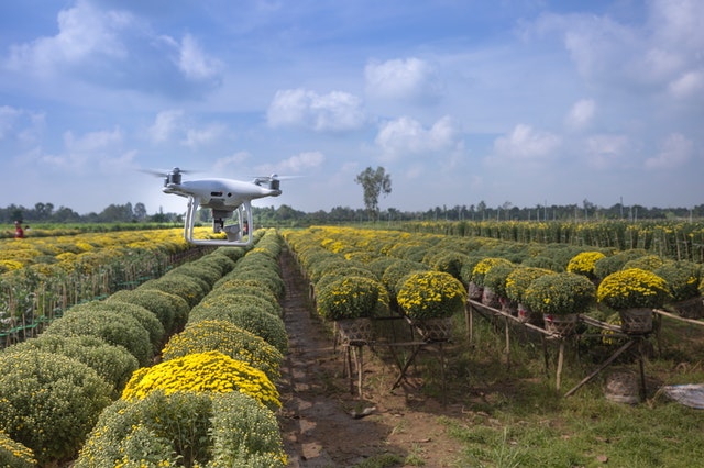 daxue-consulting-agritech-china-drone-farming