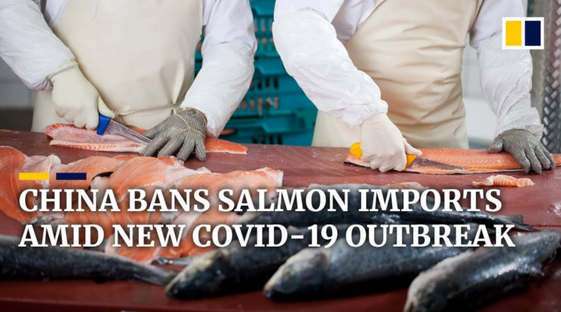 China bans salmon imports linked to covid outbreak