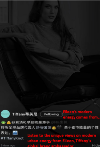 daxue-consulting-tiffany-co-eileen-gu-3