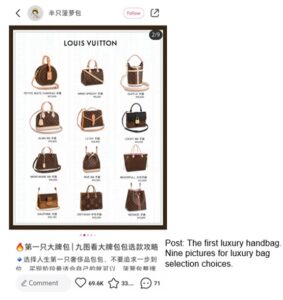 China's luxury leather goods market