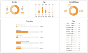 daxue-consulting-travel-shopping-iAudience-demographics