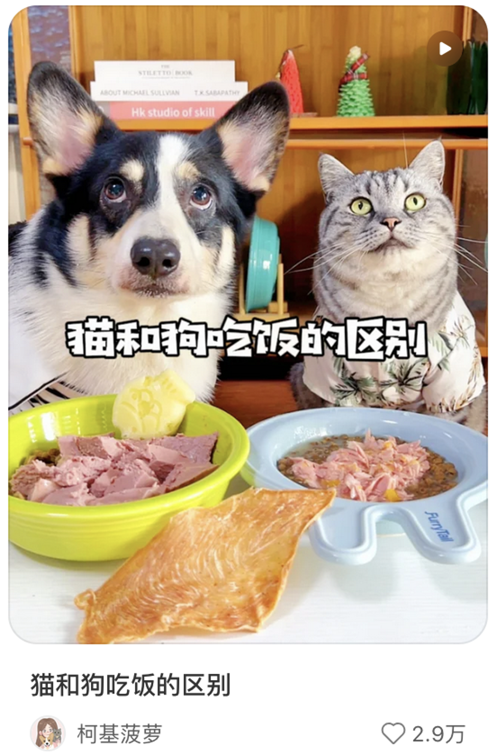 China's pet food market