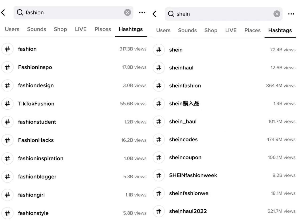  #fashion and #sheinfashion hashtags search results hits billions of views in TikTok