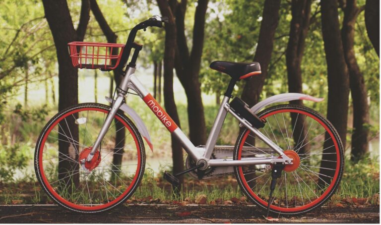 bicycle market in China