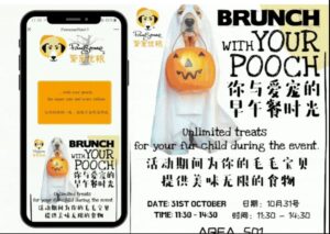 Halloween pet brunch in China