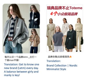 scandinavian brands in china