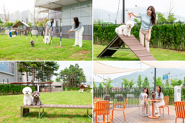 South Korea's pet industry