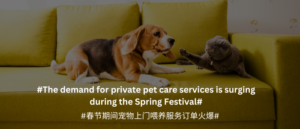 private pet care in China