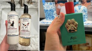 pet economy in China