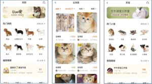 pet economy in China