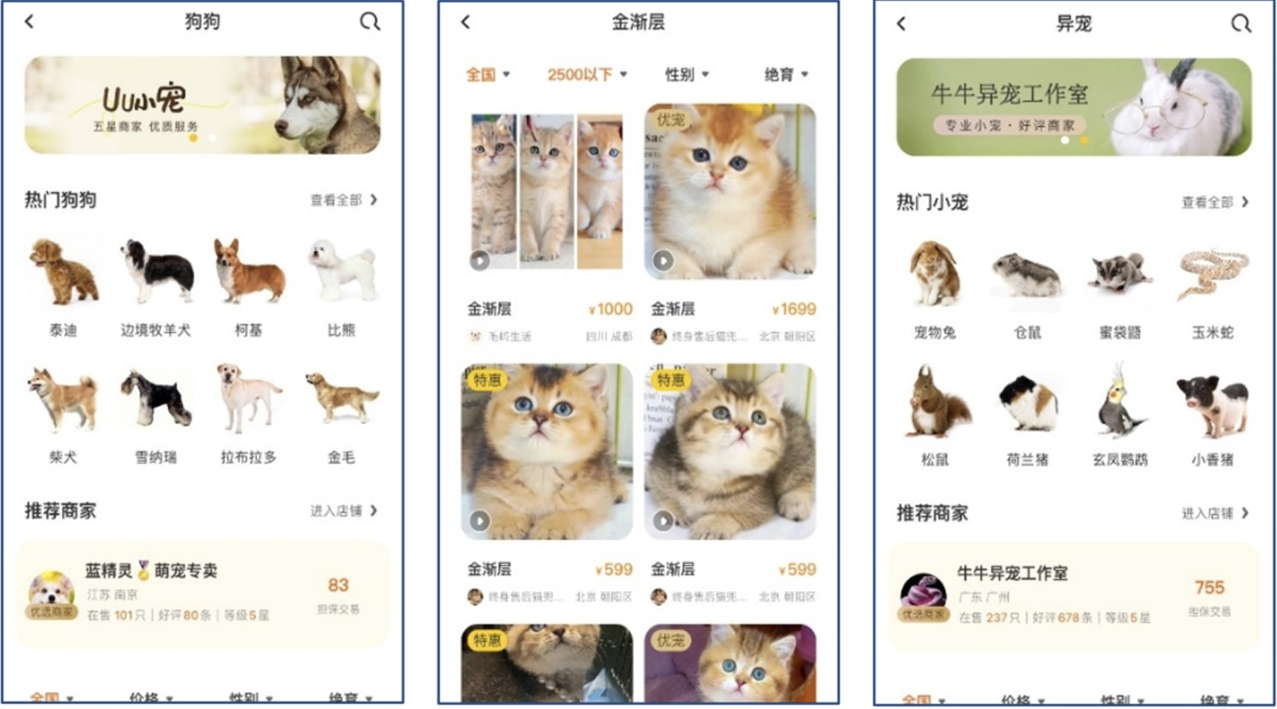 pet economy in China
