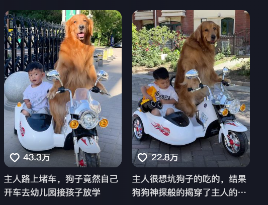 pet economy in China on Douyin
