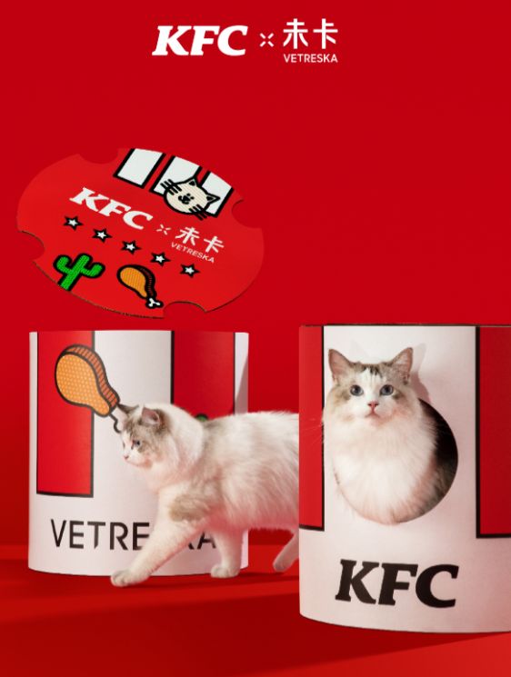 KFC bucket-shaped cat tree launched in collaboration with Vetreska