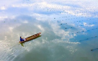 freshwater pearl market in China