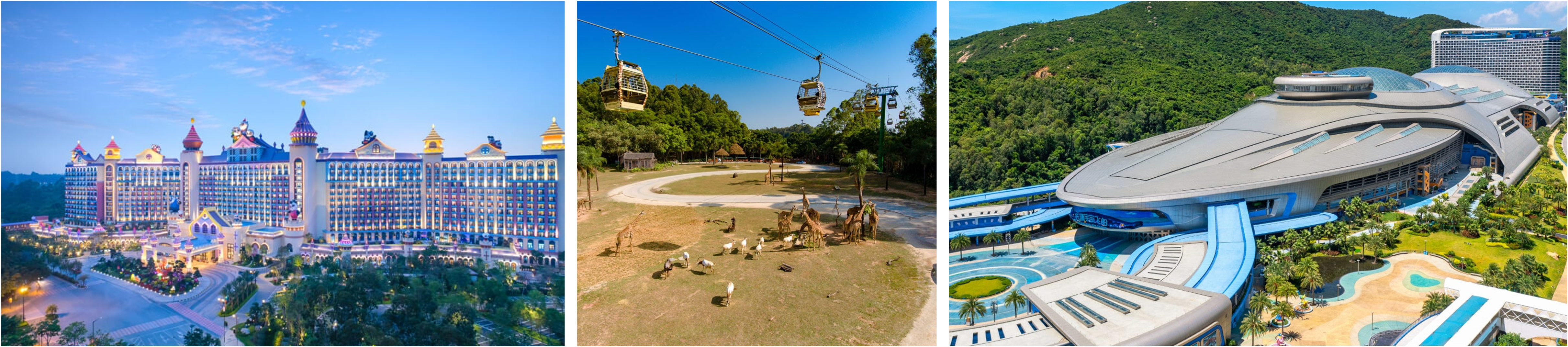 zoo and aquarium industry in China
