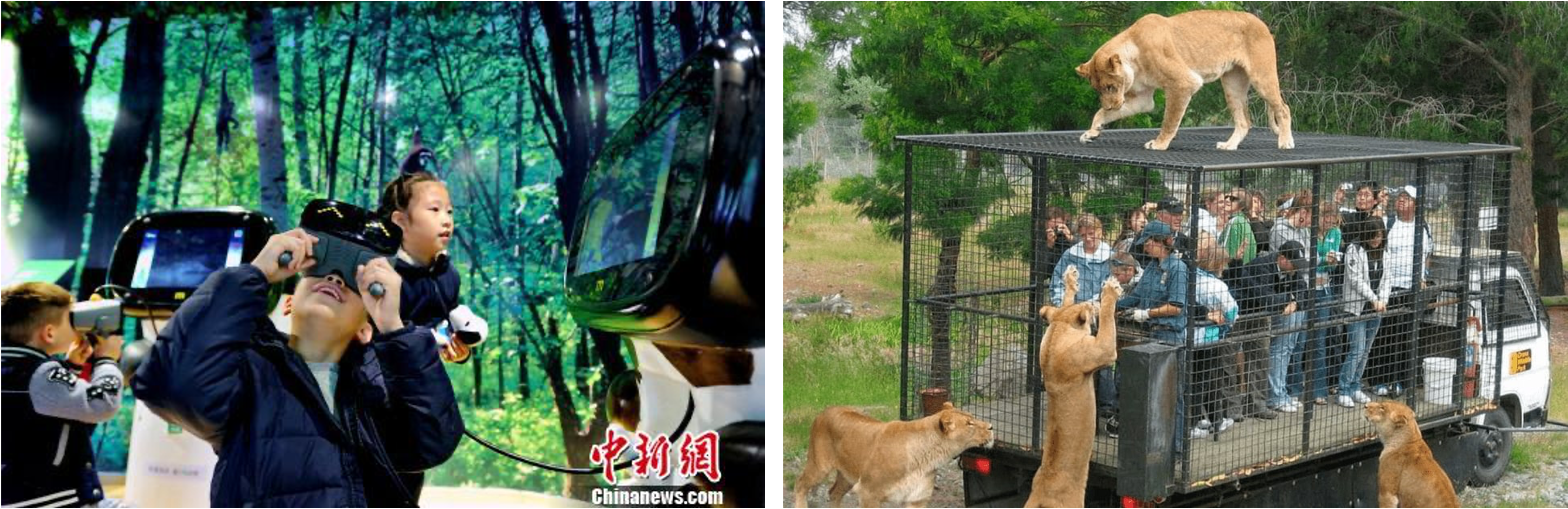 zoo and aquarium industry in China