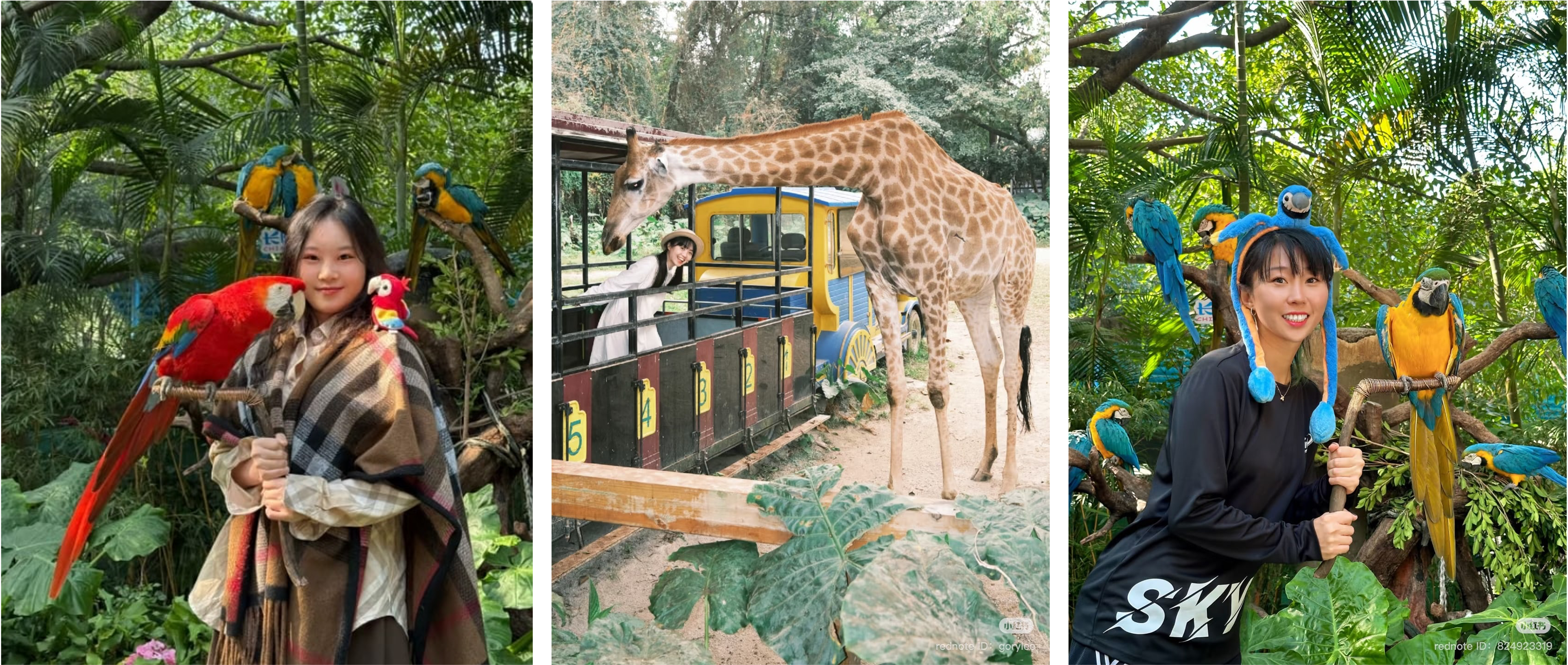 zoo and aquarium industry in China