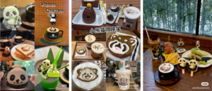 zoo and aquarium industry in China